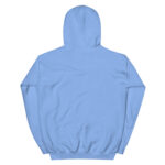 unisex-heavy-blend-hoodie-black-front-680891f33c758.jpg